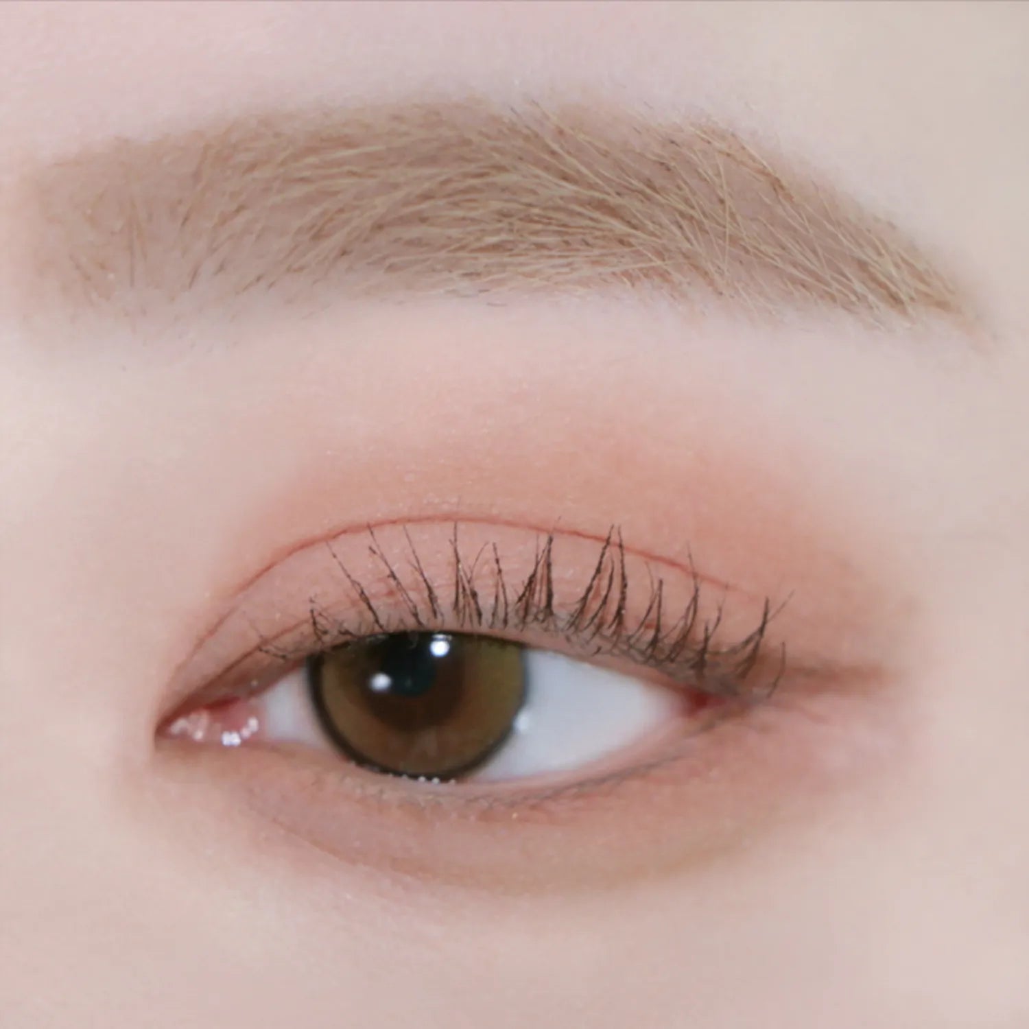 andear Single Eye Shadow (6 Colors)