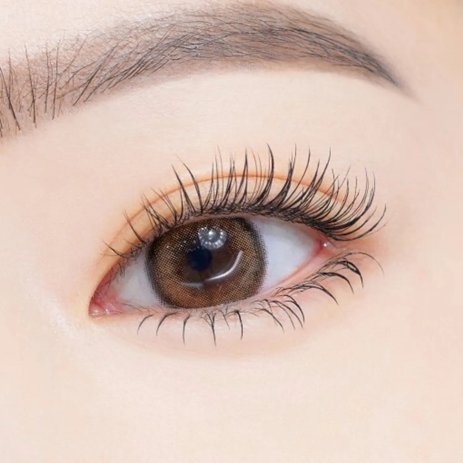 ETUDE Curl Fix Mascara 1+1 Set (4 Options)
