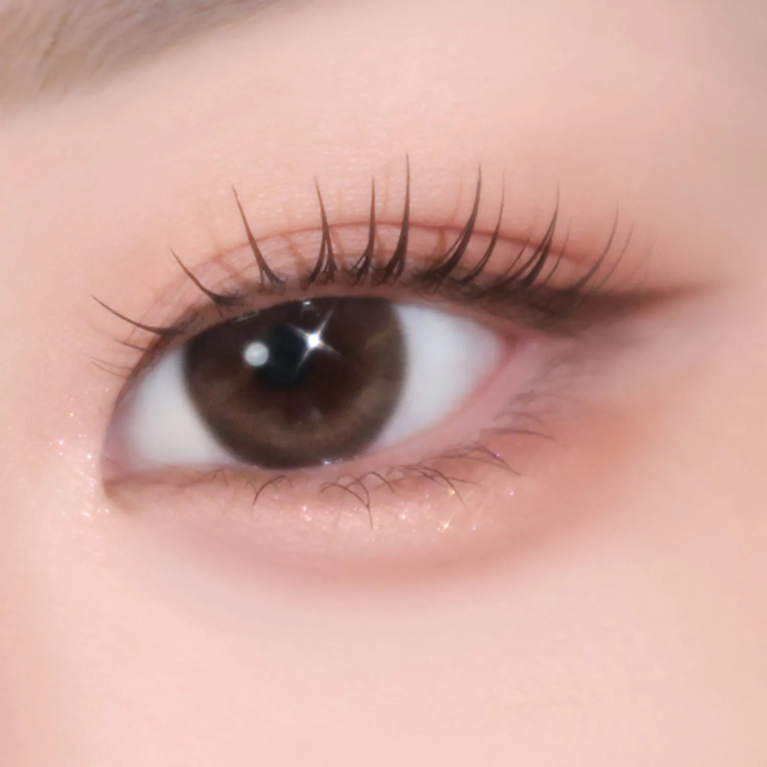 eglips Soft Eye Palette 7.3g (7 Options)