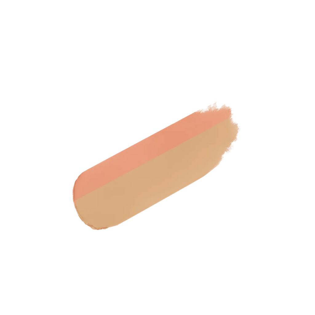 JUNGSAEMMOOL Men Dark Zone Concealer 1.1g