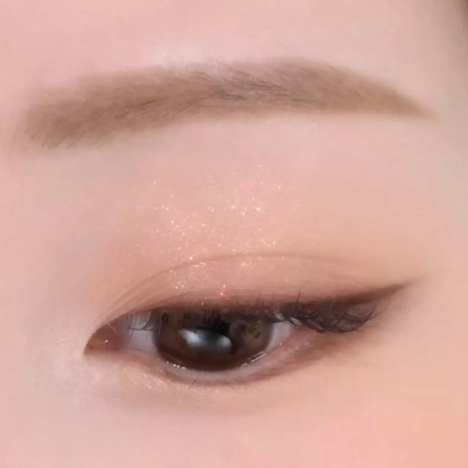 lilybyred Dewy Fit Palette (7 Options)