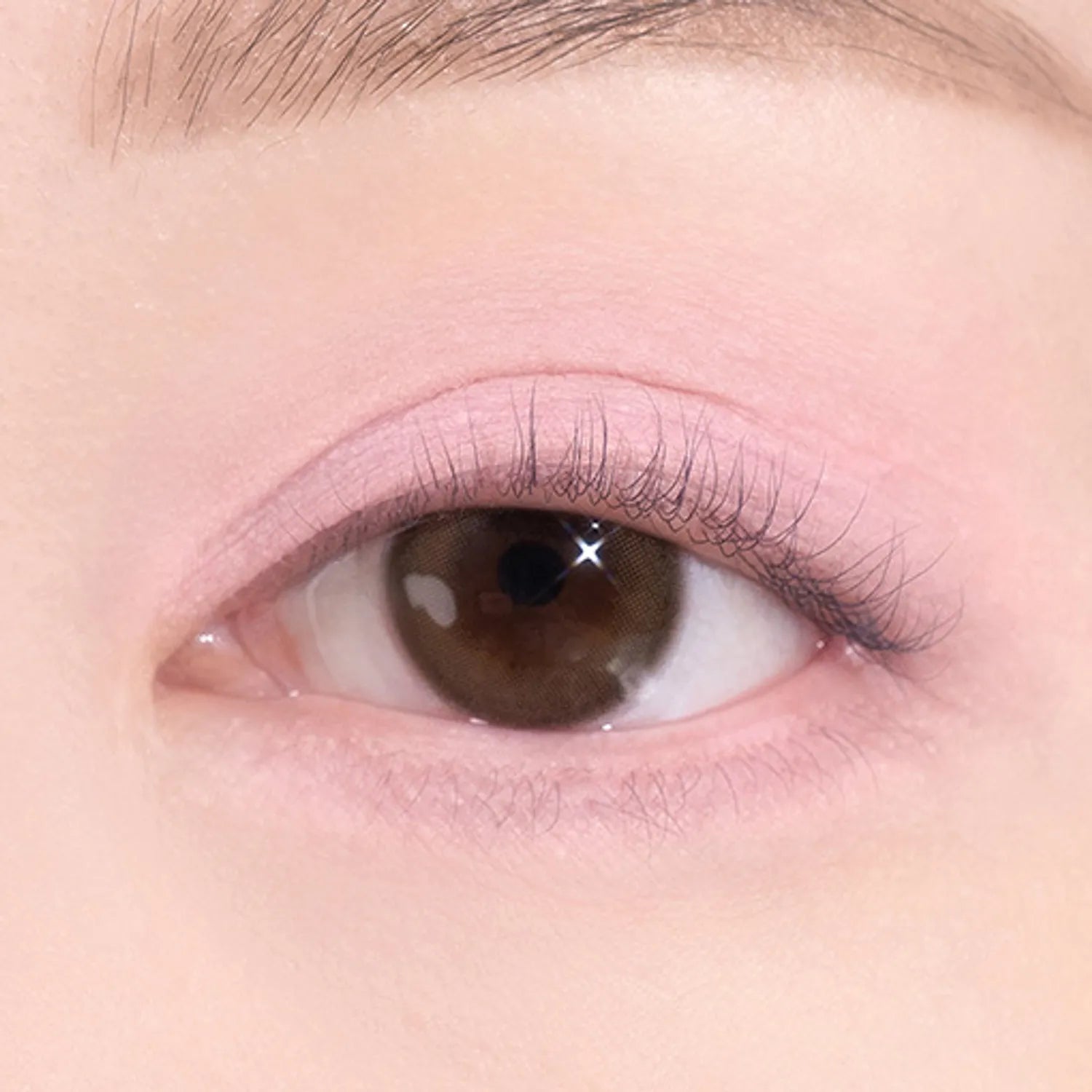 dasique Pink Blossom Shadow Palette