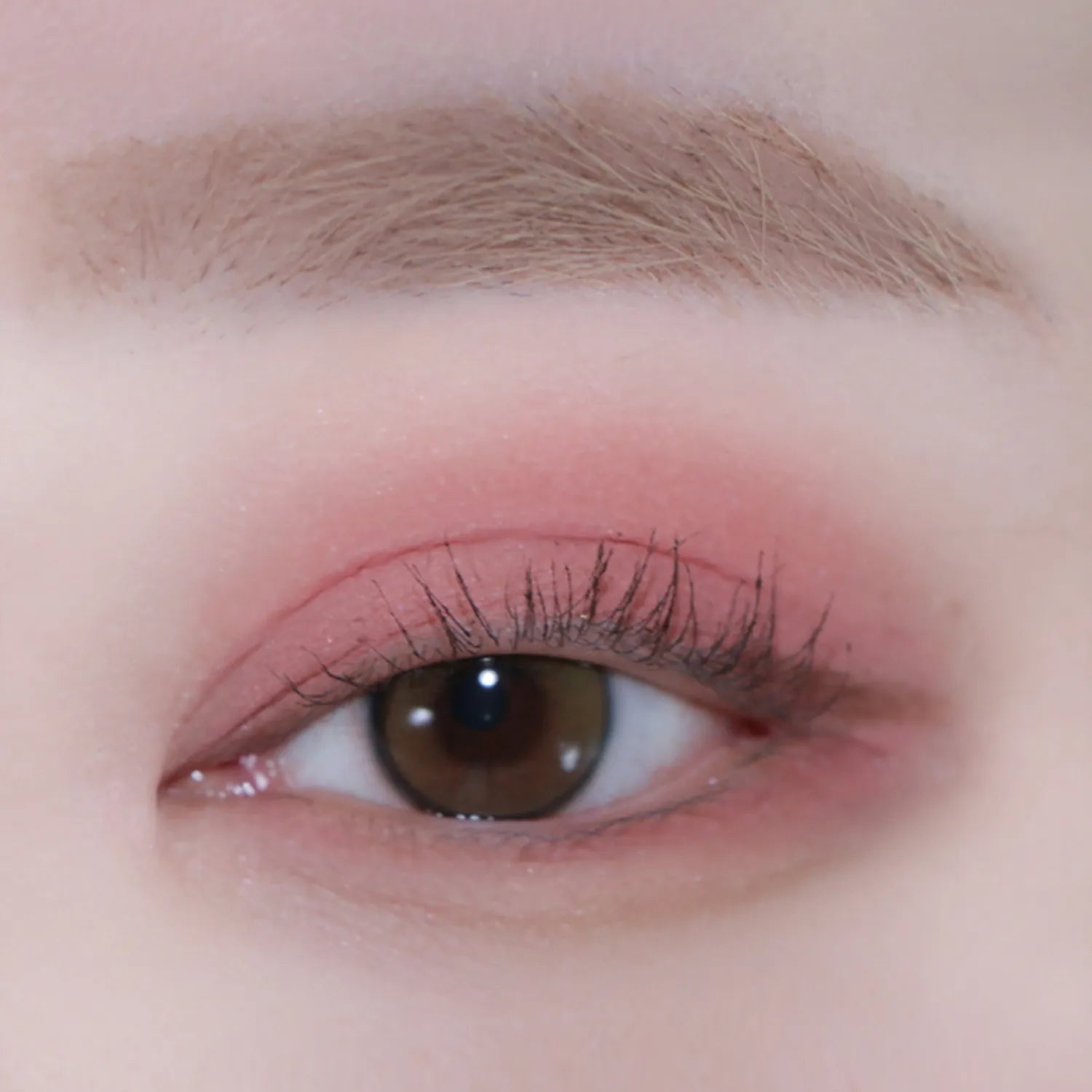 andear Single Eye Shadow (6 Colors)