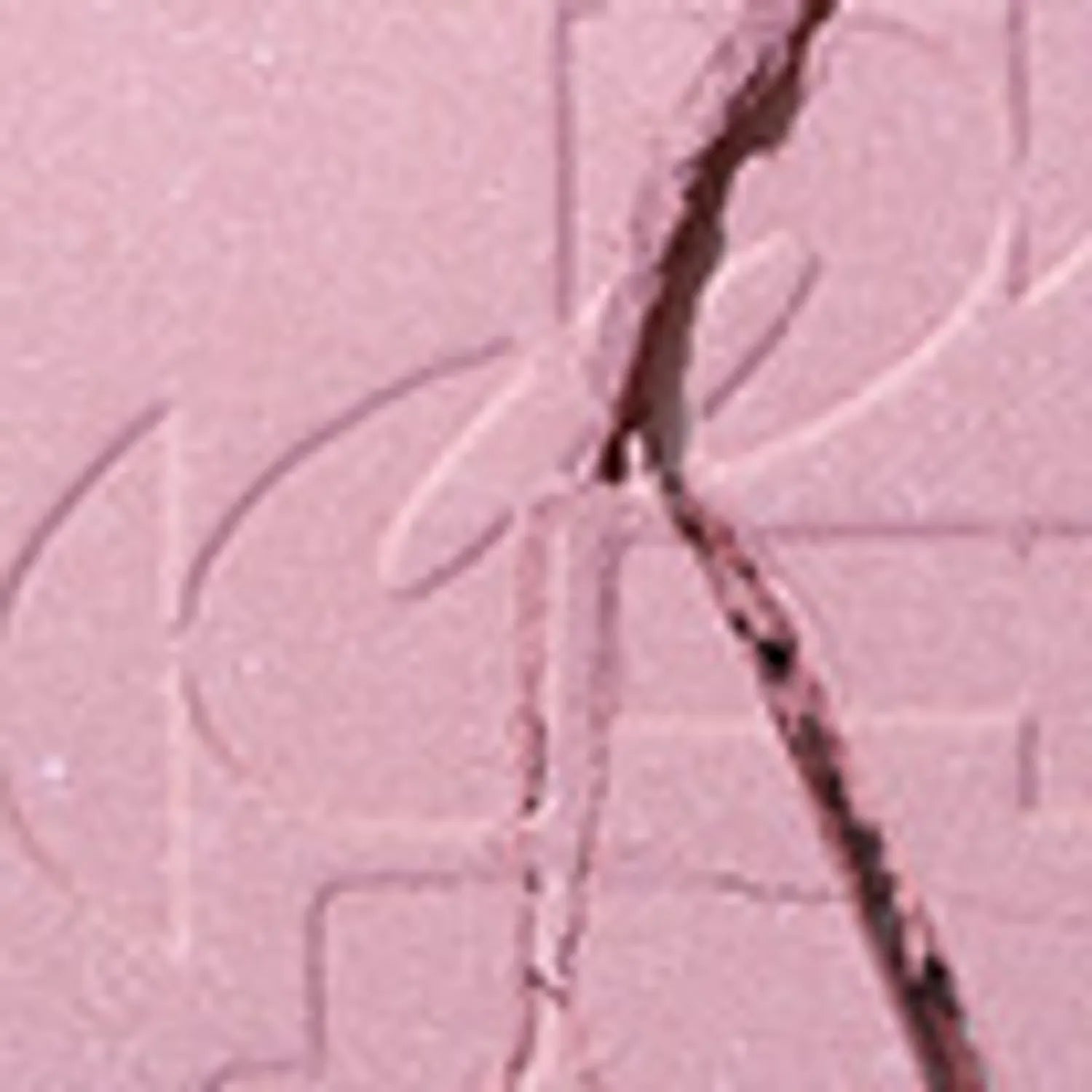 [New Shade] TWO SLASH FOUR All Over Face Blush (11 Options)