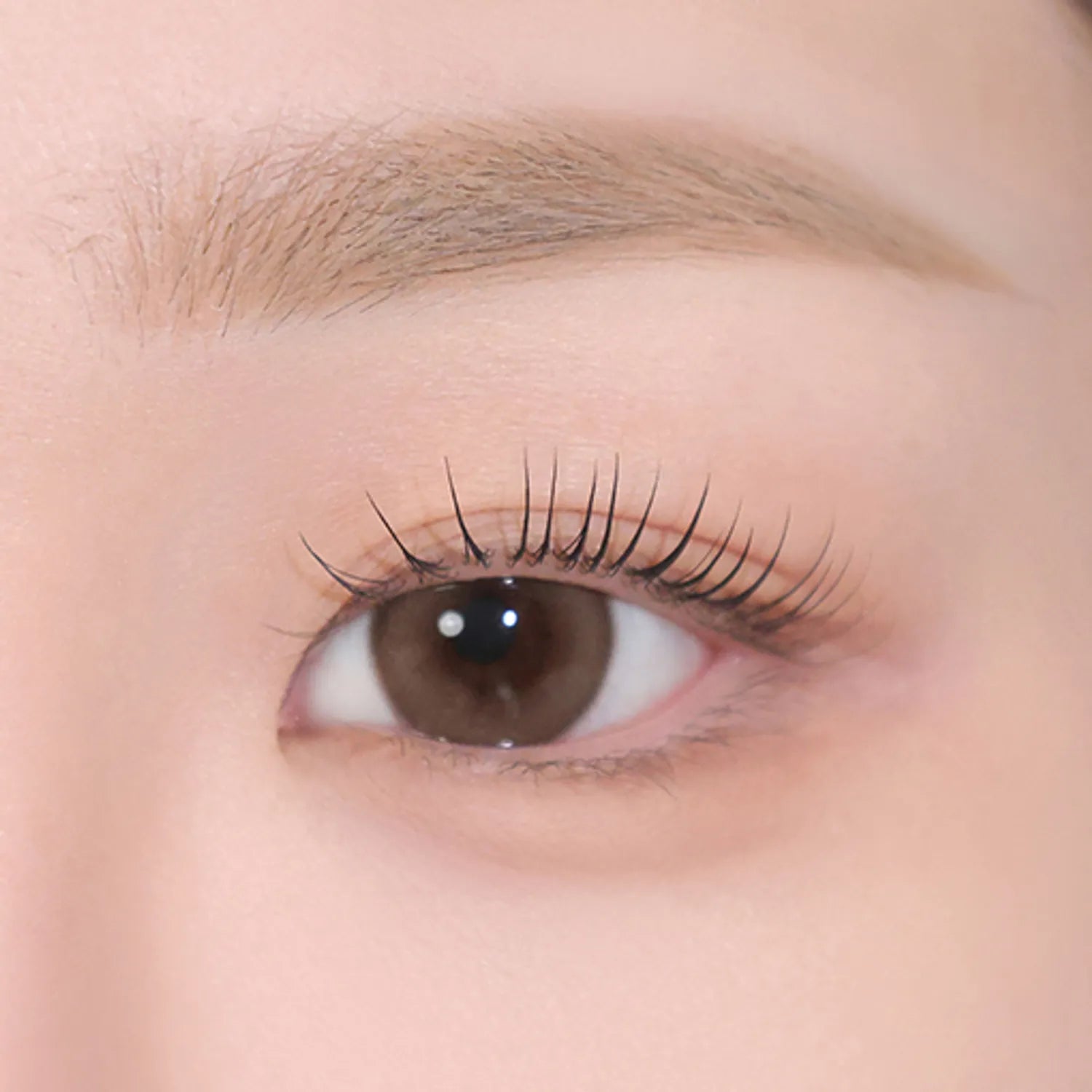 eglips All Shade Dual Brow & Fixer (6 Options)