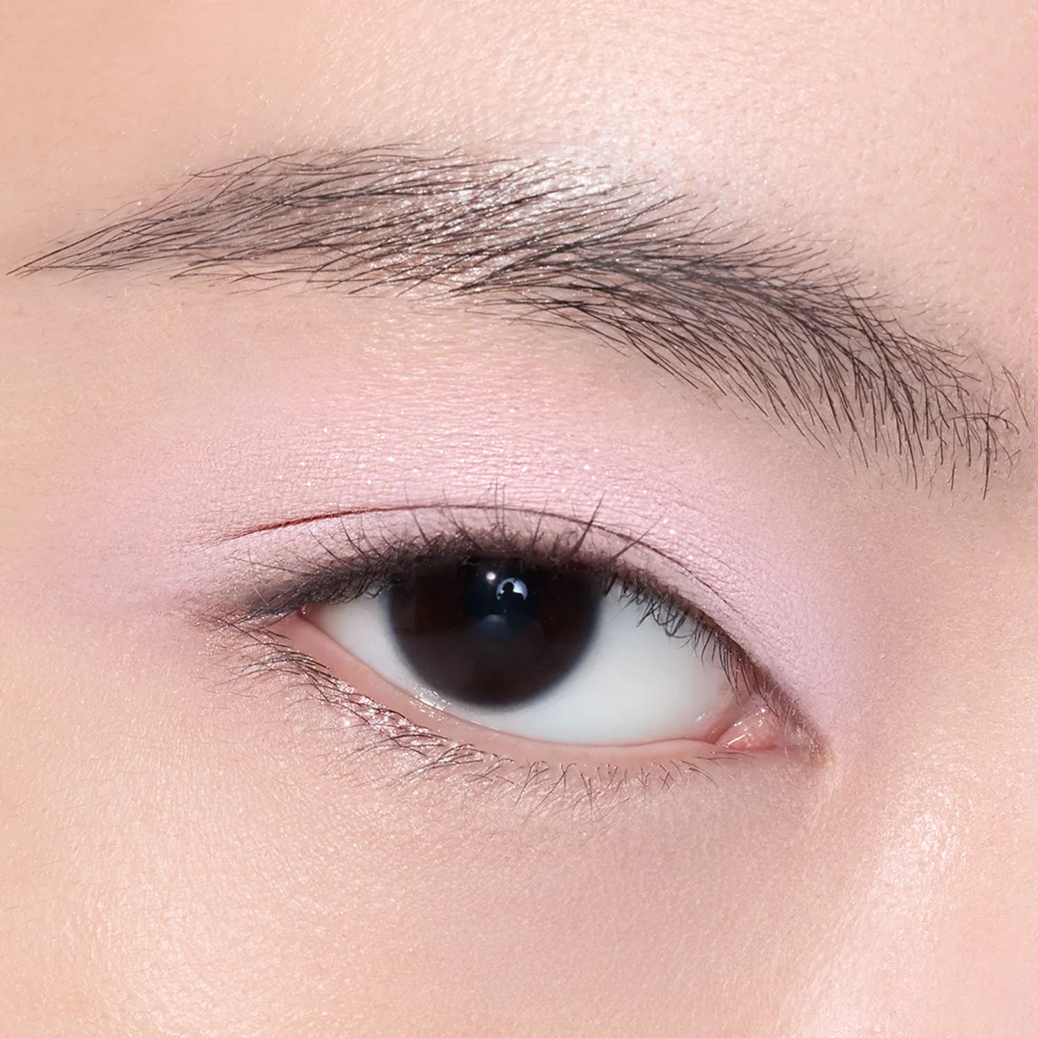 3CE Layer It All Eye Palette (5 Options)