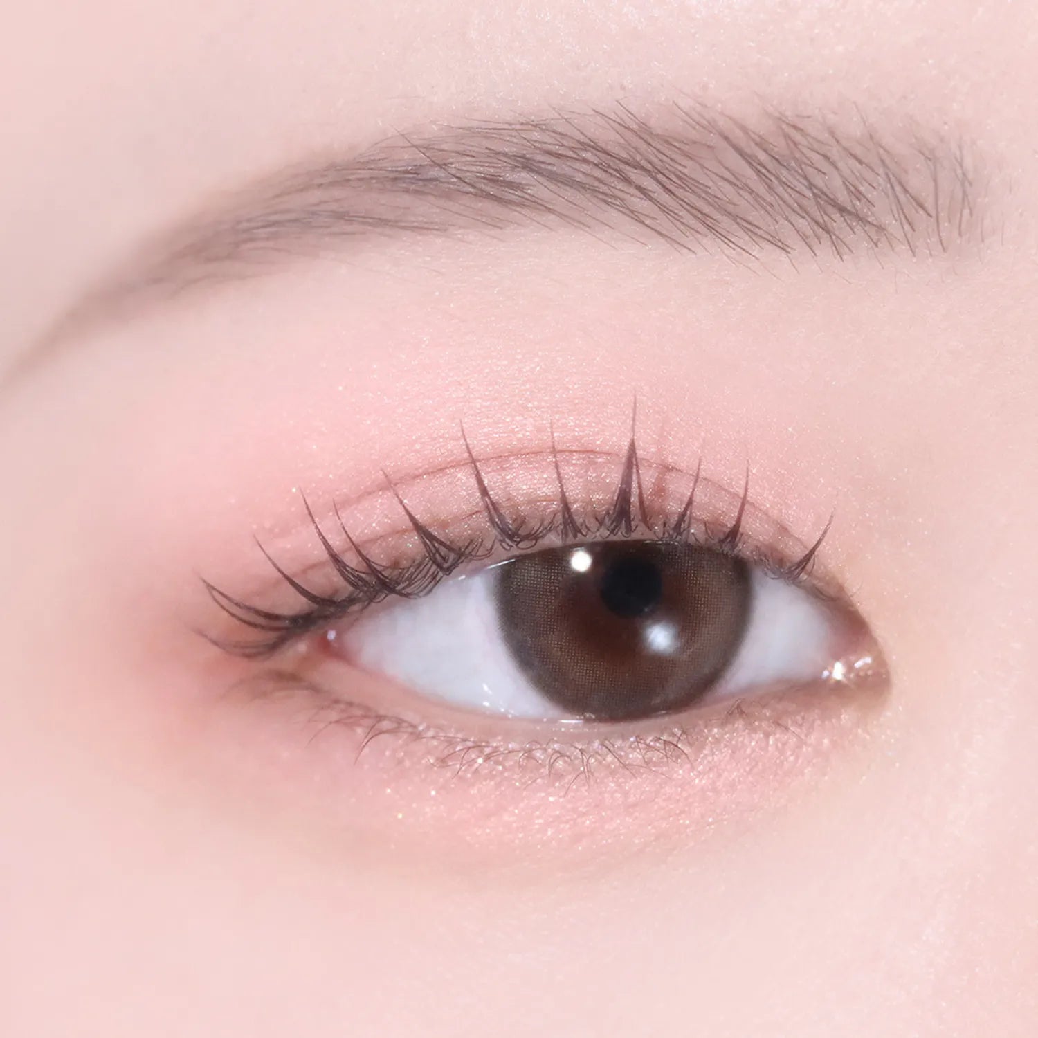 hince Single Eyeshadow (25 Colors)