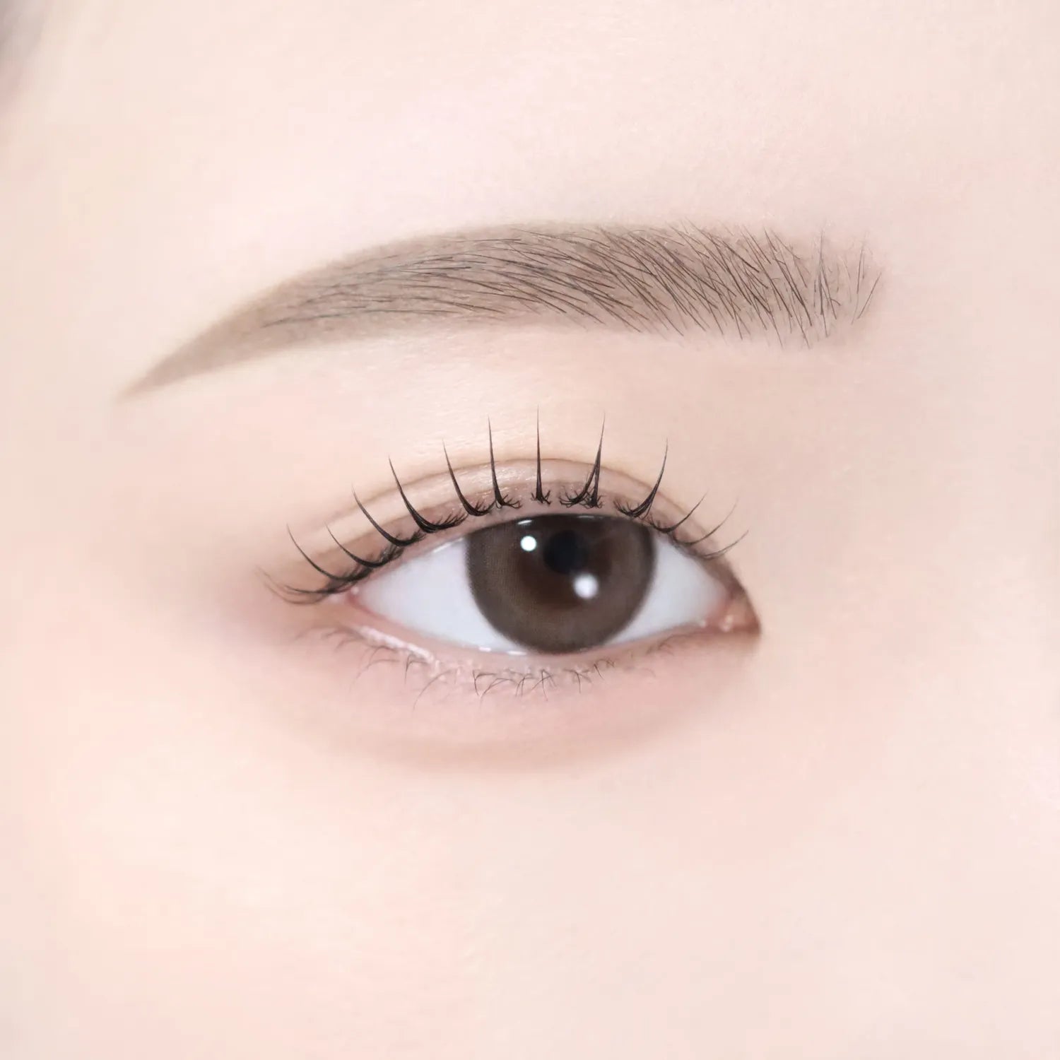 dasique Pro Detail Brow Pencil (6 Colors)