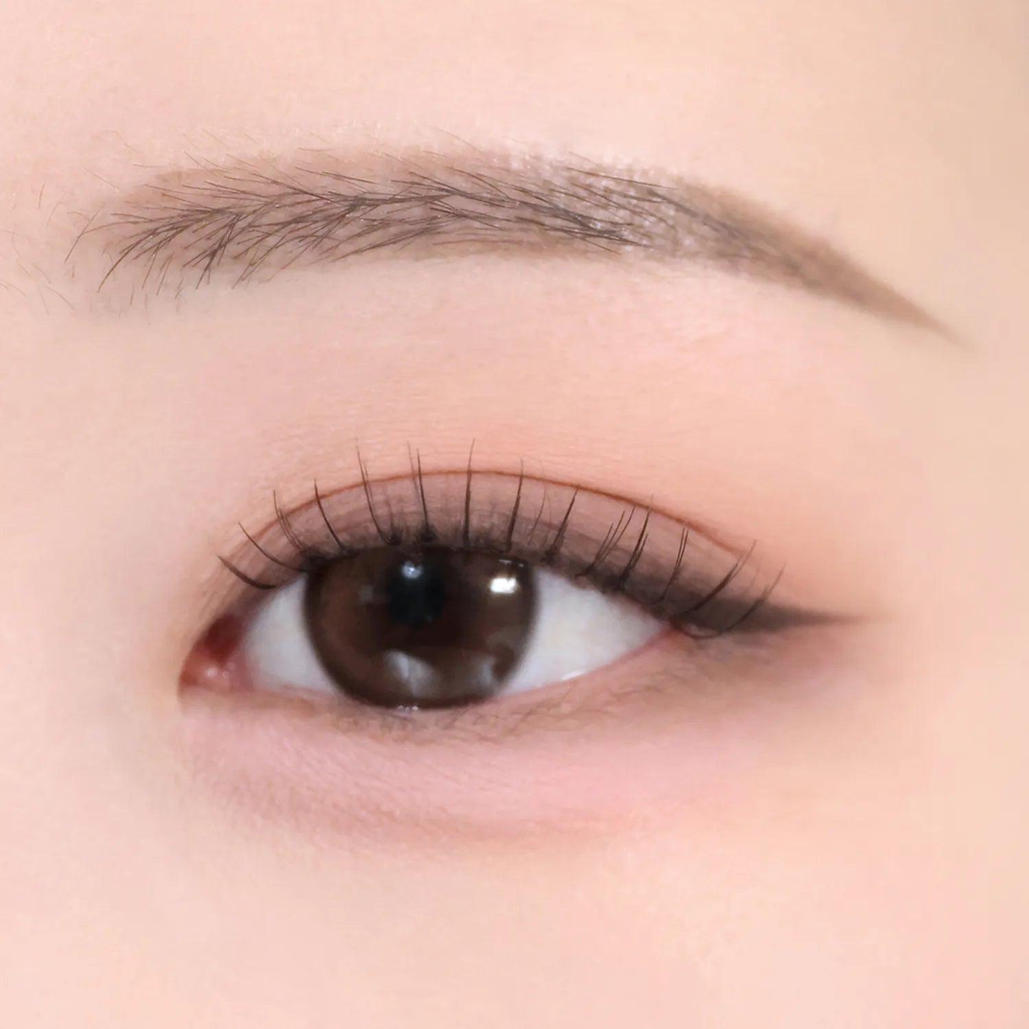 mude. Shawl Moment Eyeshadow Palette 4 Options