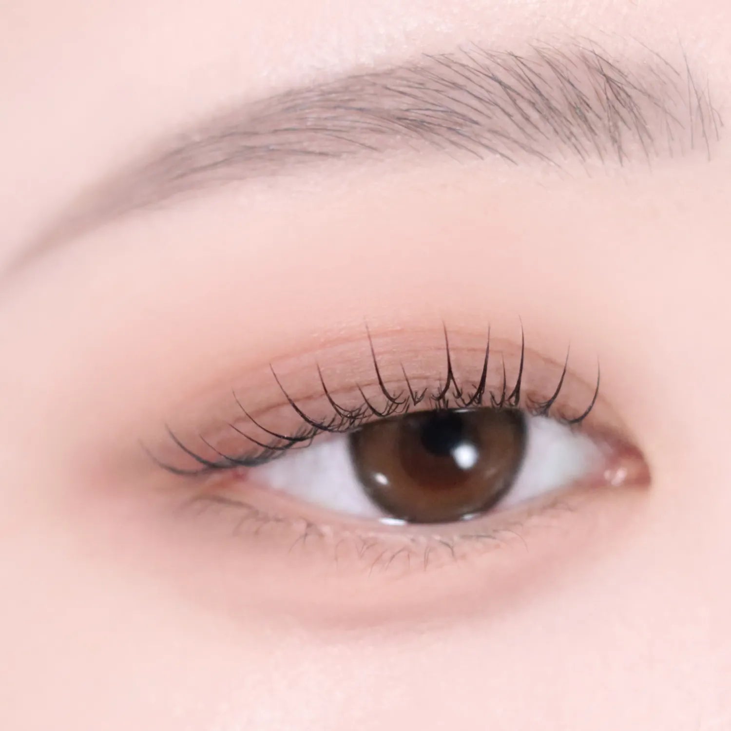 VDL Eyestain Essential Shadow Duo