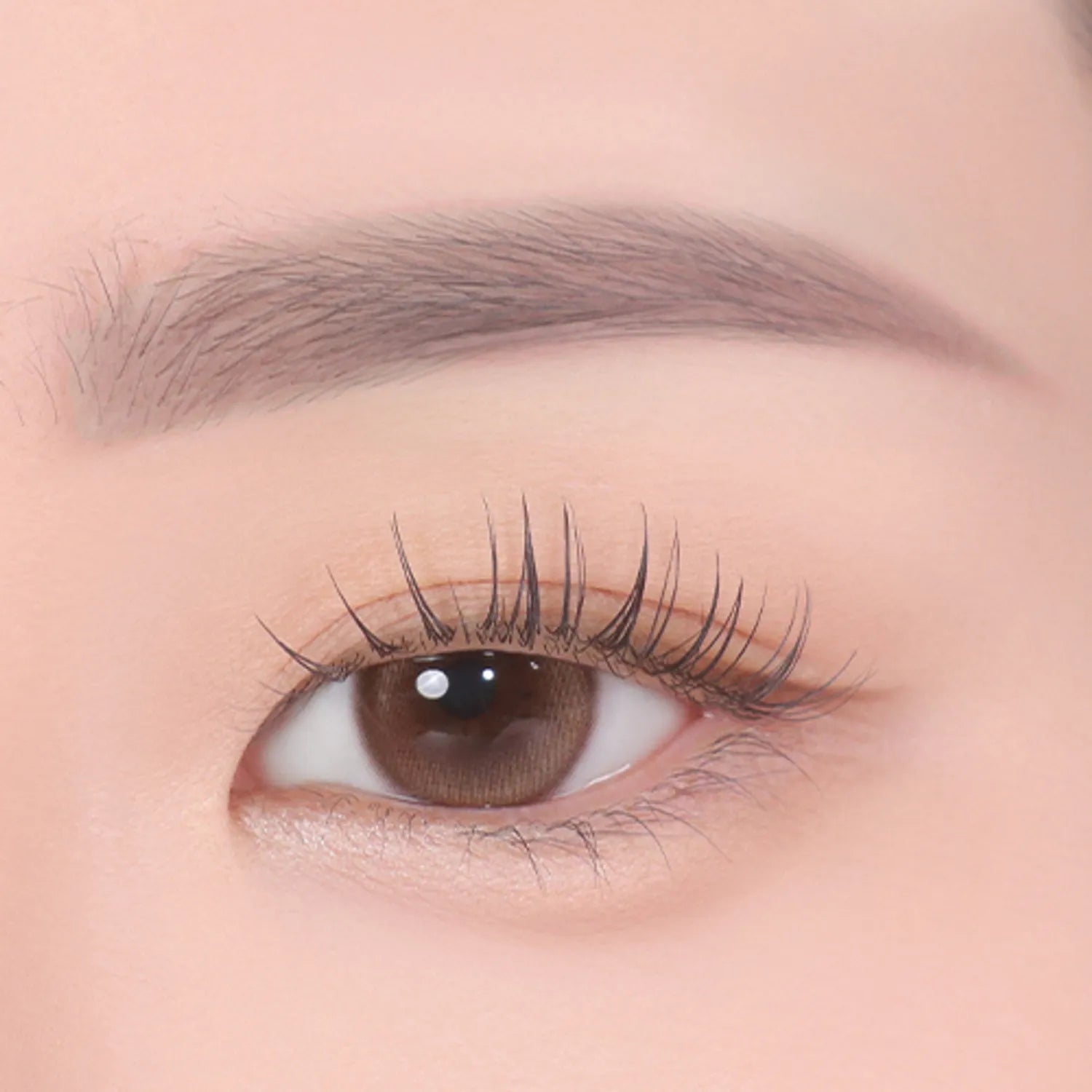CLIO Kill Brow Auto Hard Brow Pencil (Set/Single) (9 Colors)
