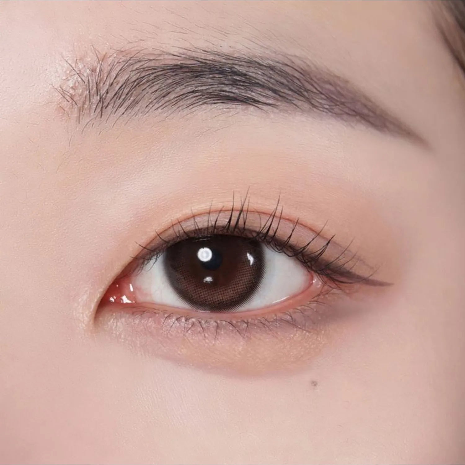 colorgram Shade Re-Forming Brush Liner (11 Colors)