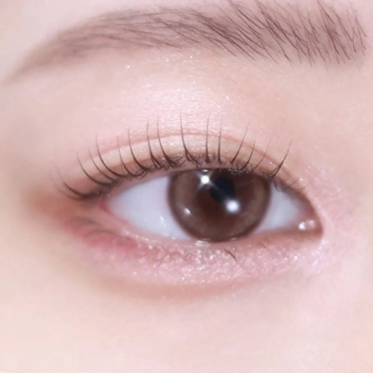 2aN Color Play Dual Liner (5 Colors)