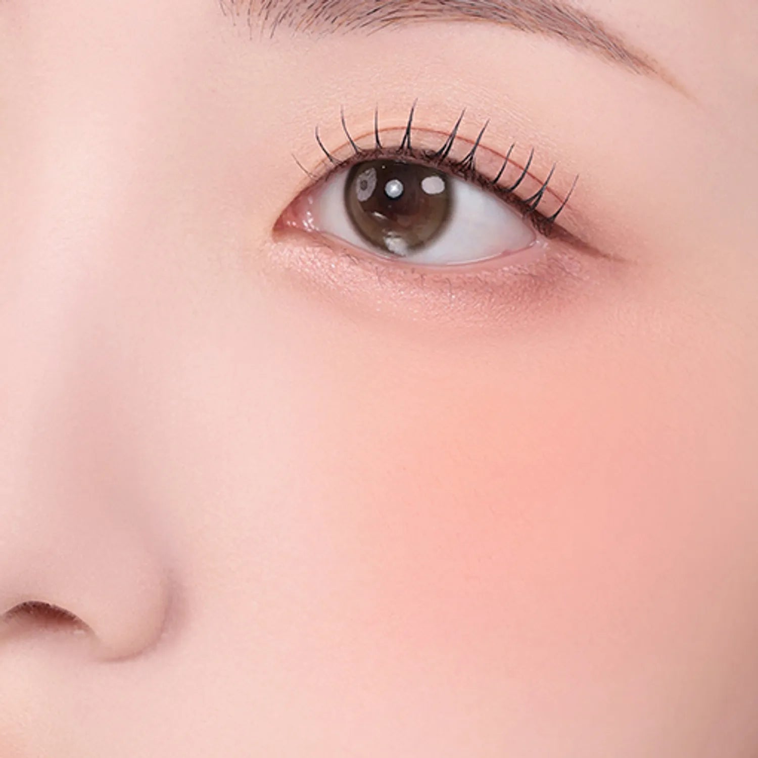 2aN Dual Cheek (Set/Single) (19 Colors)