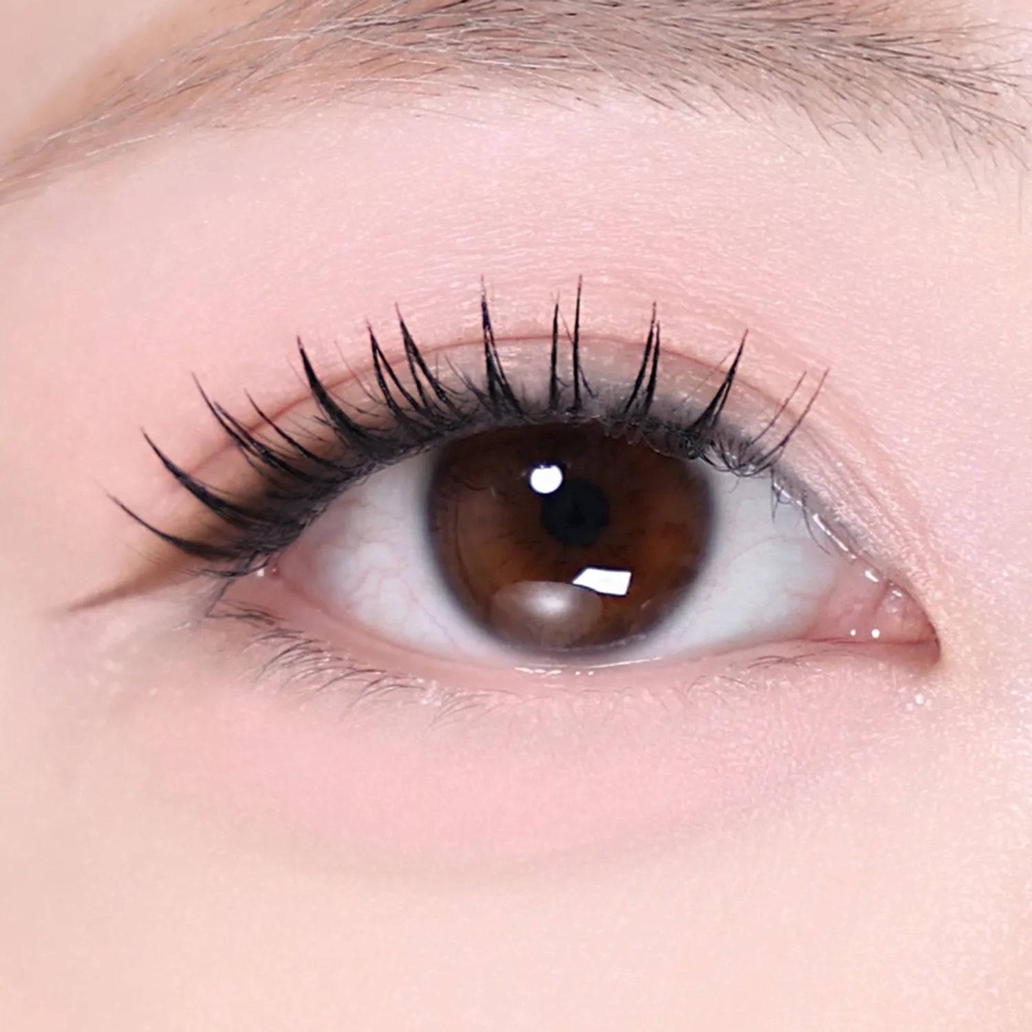 Wonjungyo Nude Eyelash (3 Colors)