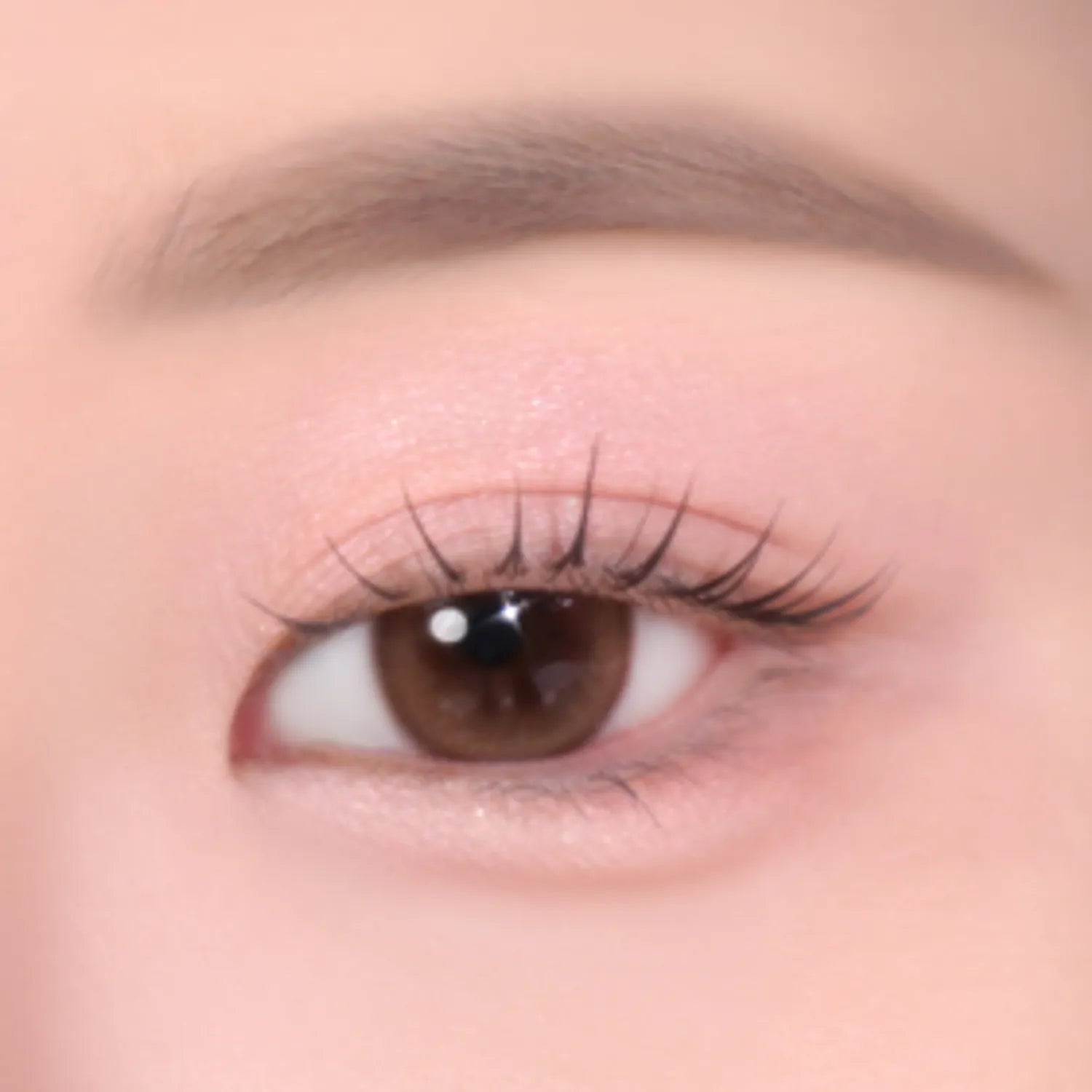 colorgram Pin Point Eyeshadow Palette (9 Colors)