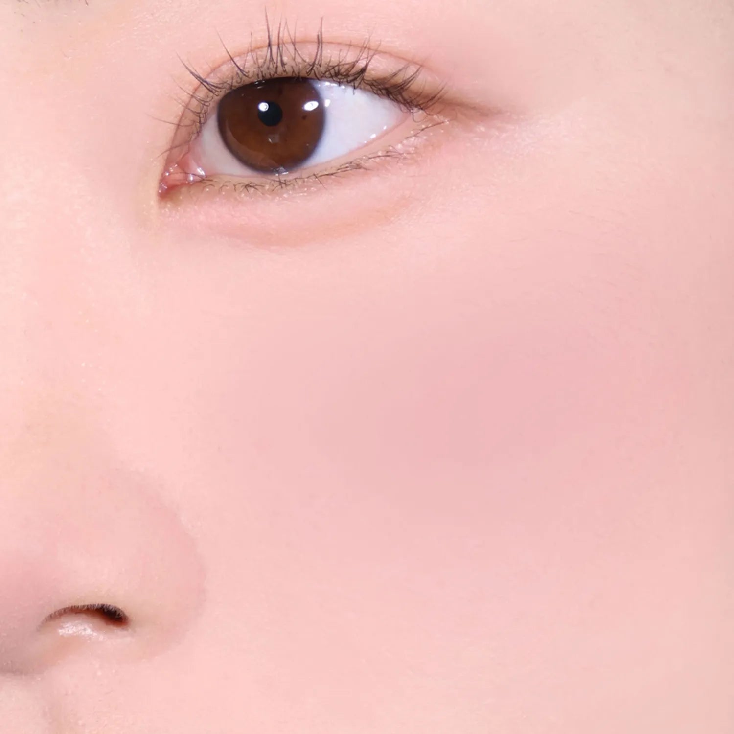 espoir Blur Wear Blush 6g (6 Colors)