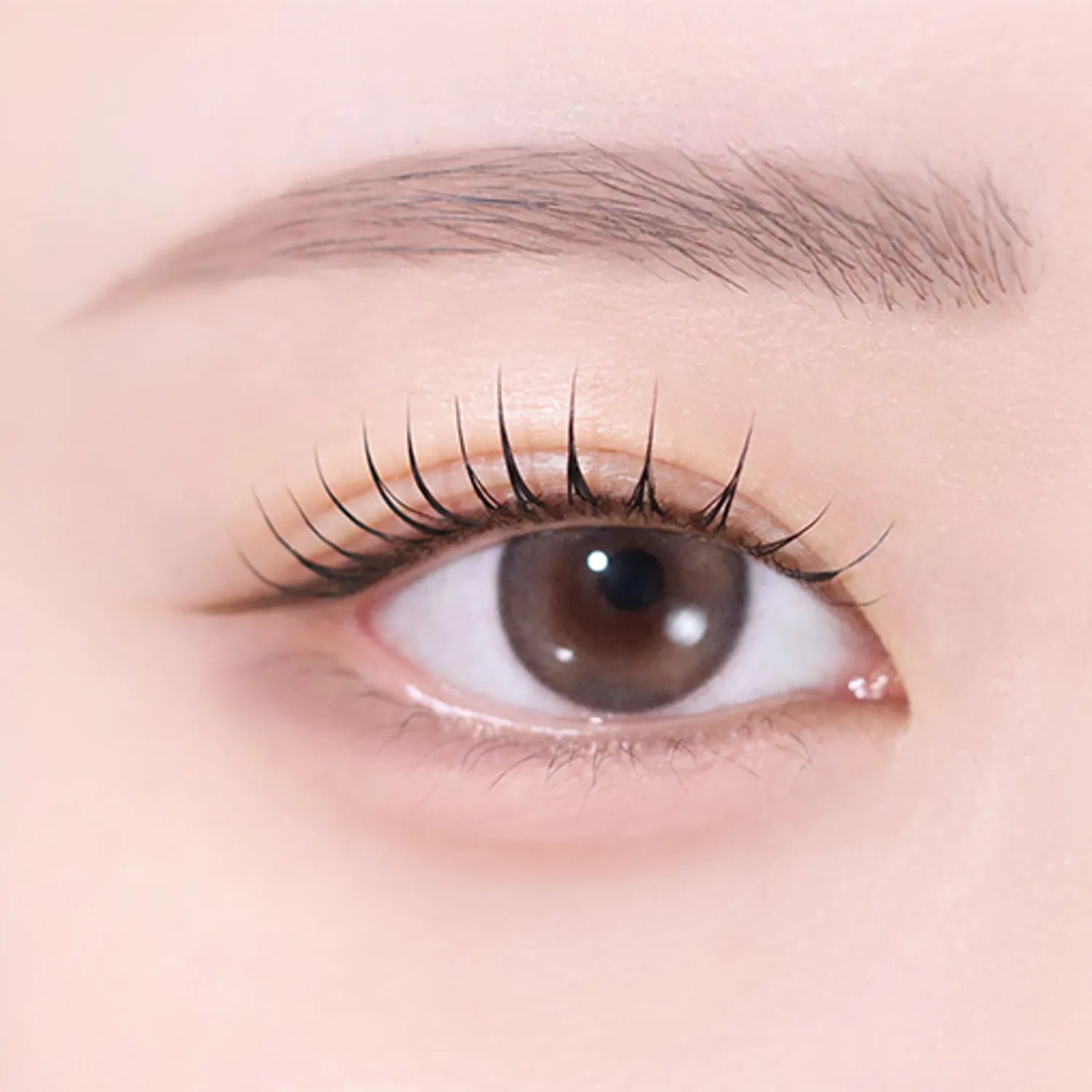 NAMING. Perpectail Eye Designing Pencil Slim Liner (Set/Single) (11 Colors)
