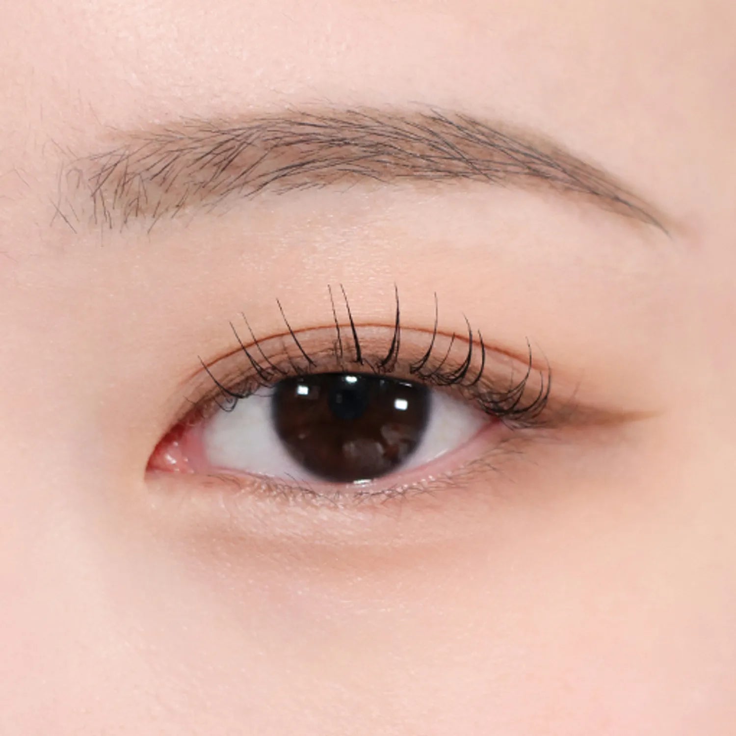 nobev Slim Edge Dual Eyeliner (7 Colors)