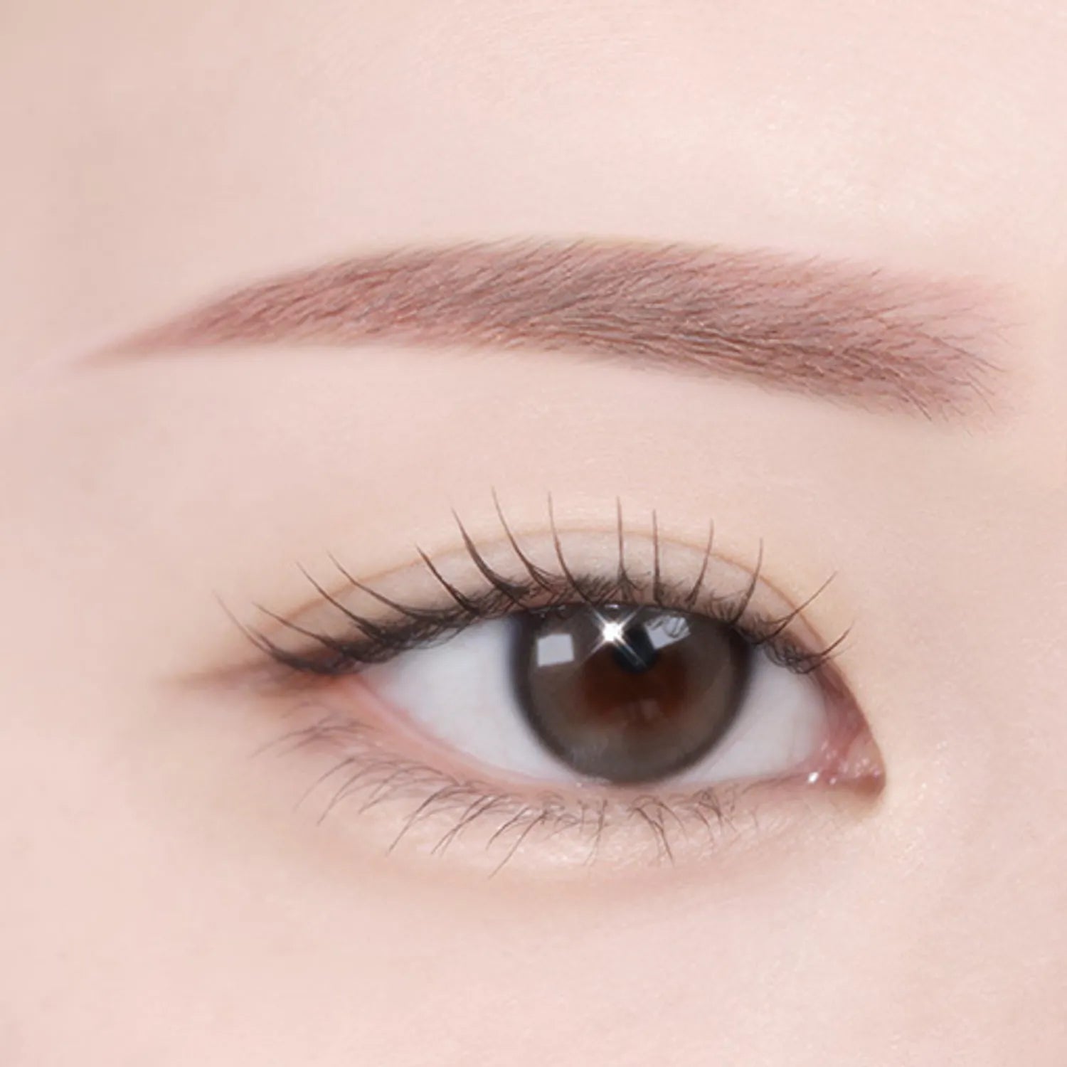 TWOSLASHFOUR Shining Brow Color Cara (3 Colors)