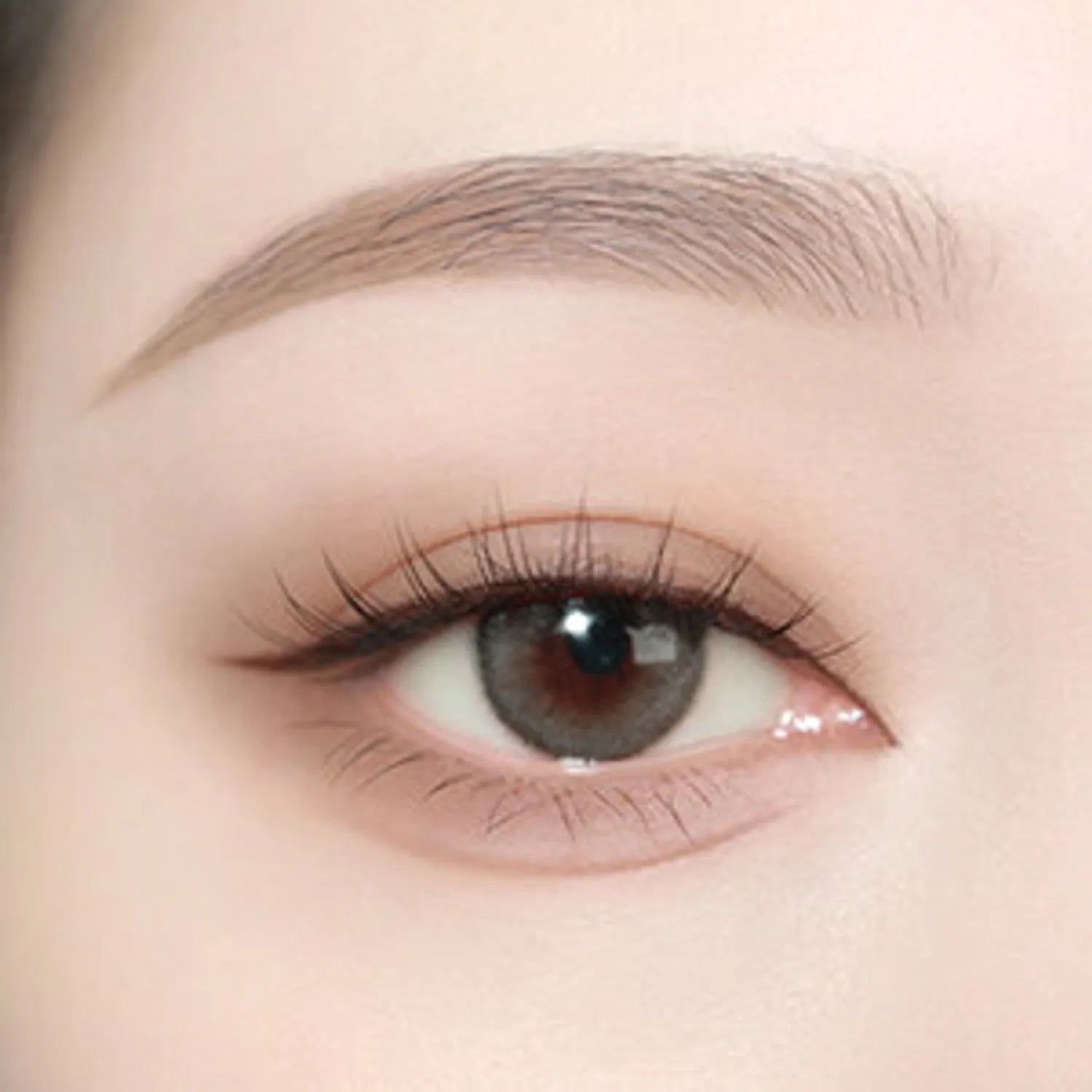tooq One By Genuine Magnetic Eye Shadow & Palette (5 Colors)