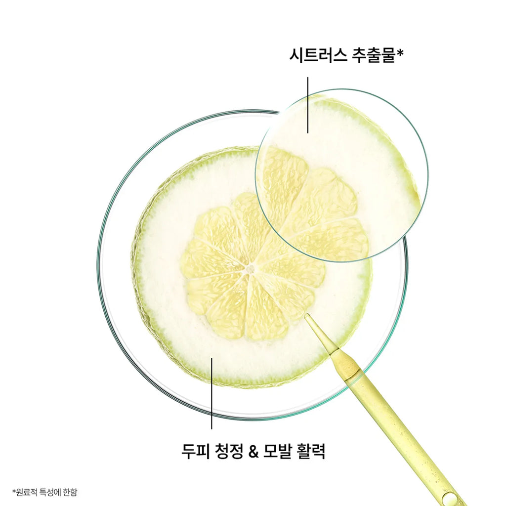KLORANE Citrus Shampoo 400mL