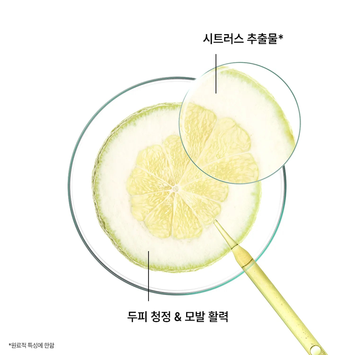 KLORANE Citrus Shampoo 400mL