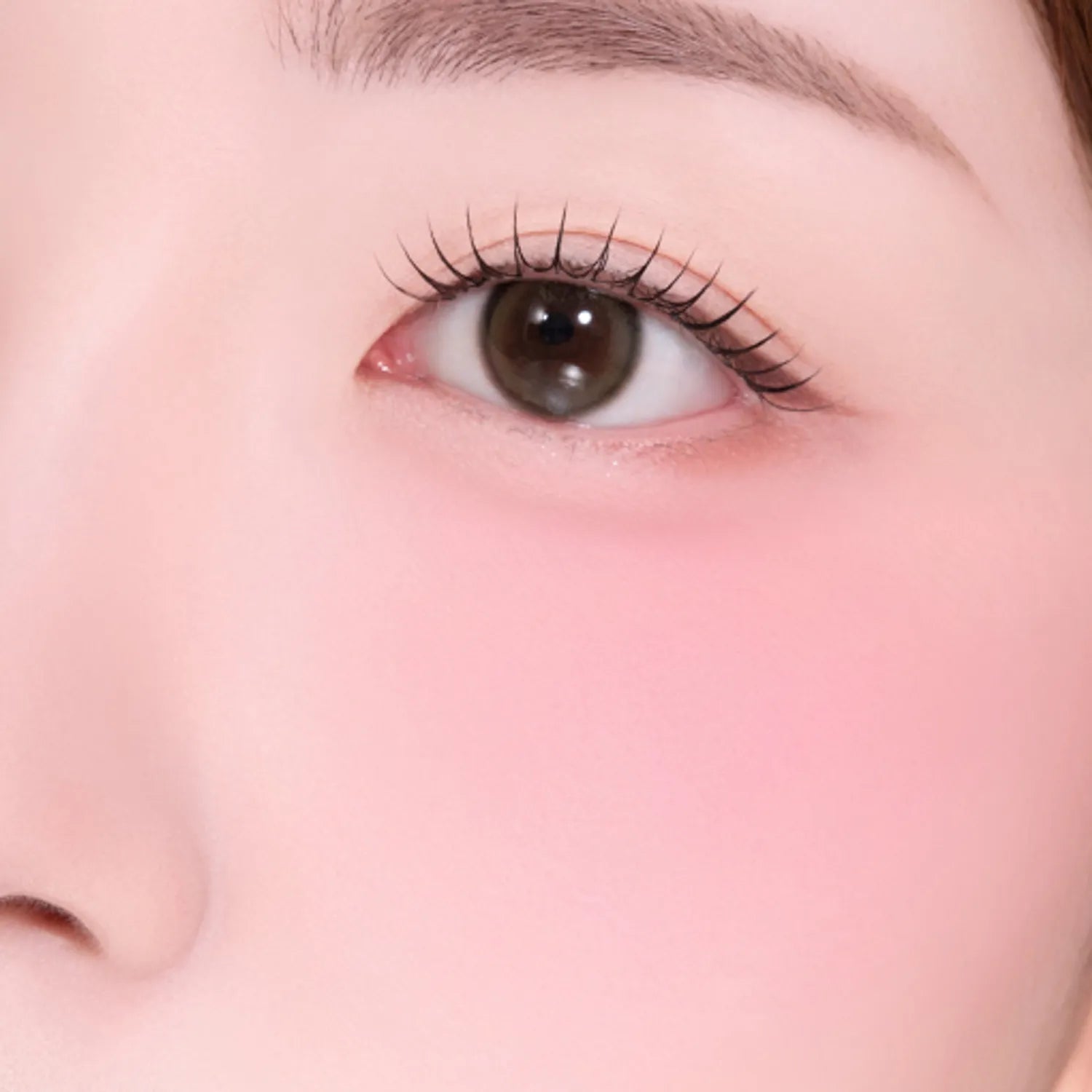 2aN Dual Cheek (Set/Single) (19 Colors)