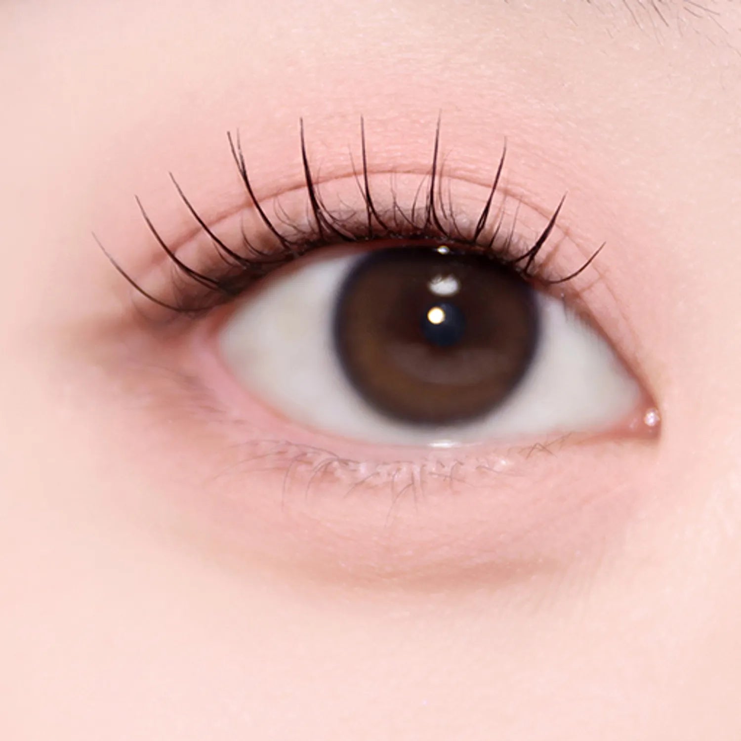 Holika Holika My Fave Piece Eye Shadow (Shimmer/Matte/Shade)