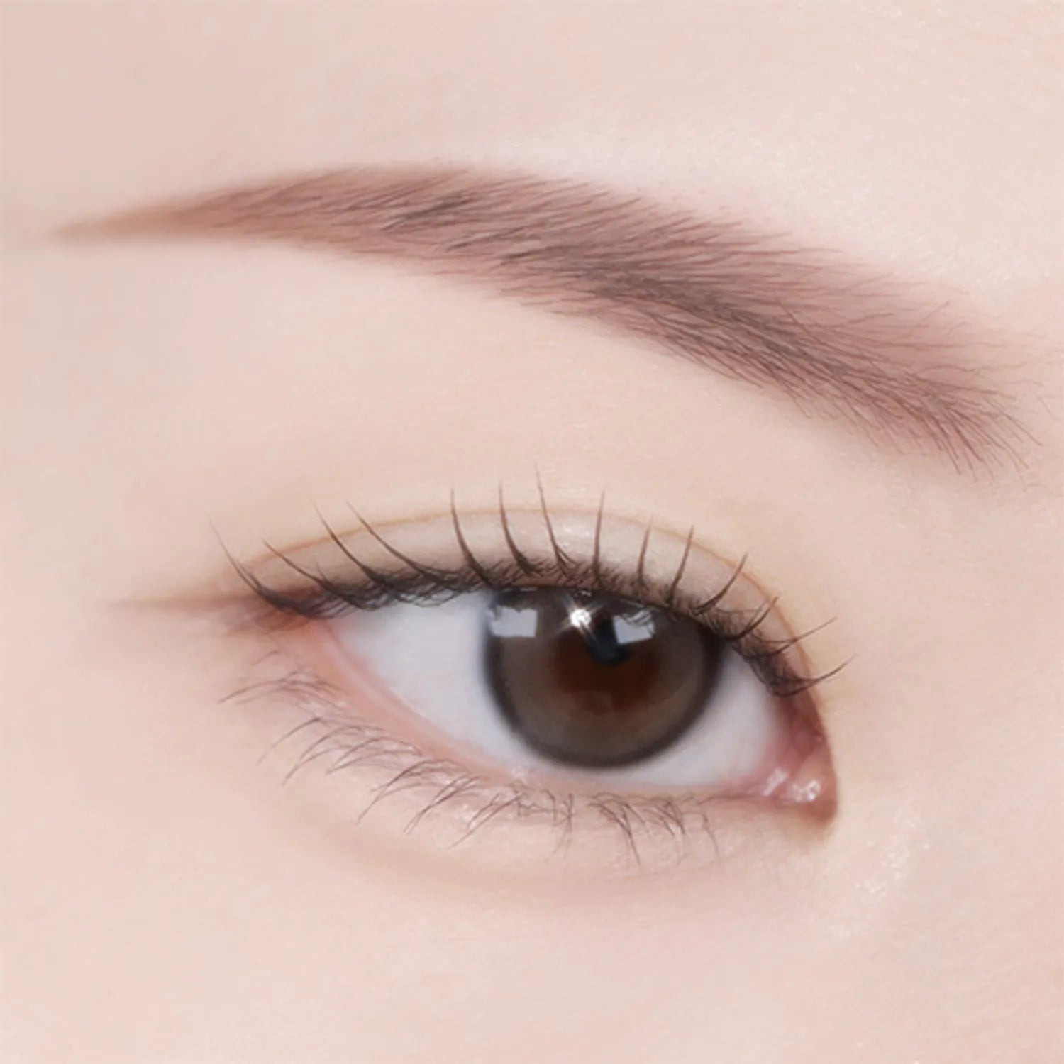TWOSLASHFOUR Fade Brow Powder Duo (3 Colors)