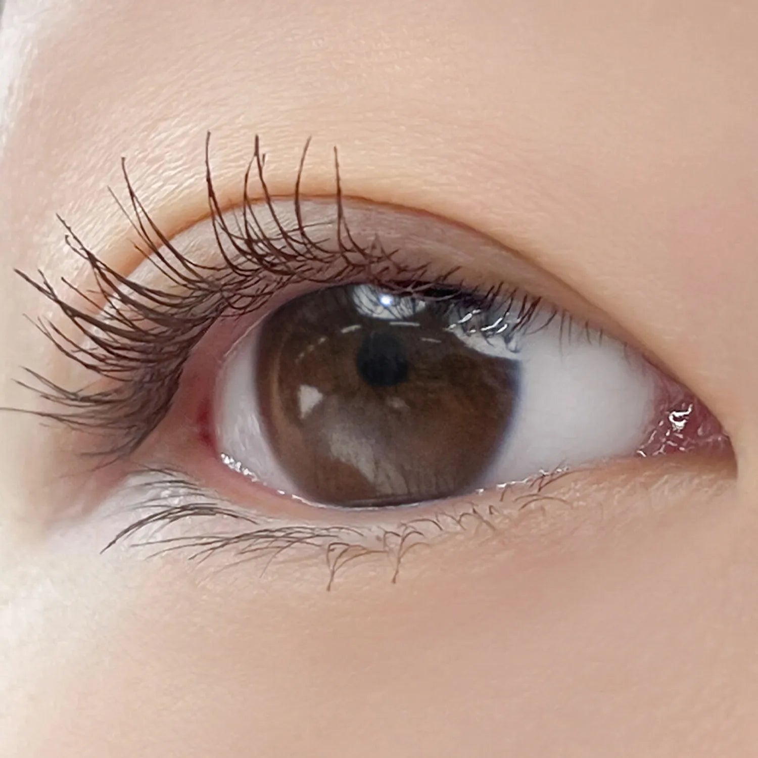 rom&nd Han All Fix Mascara 7g