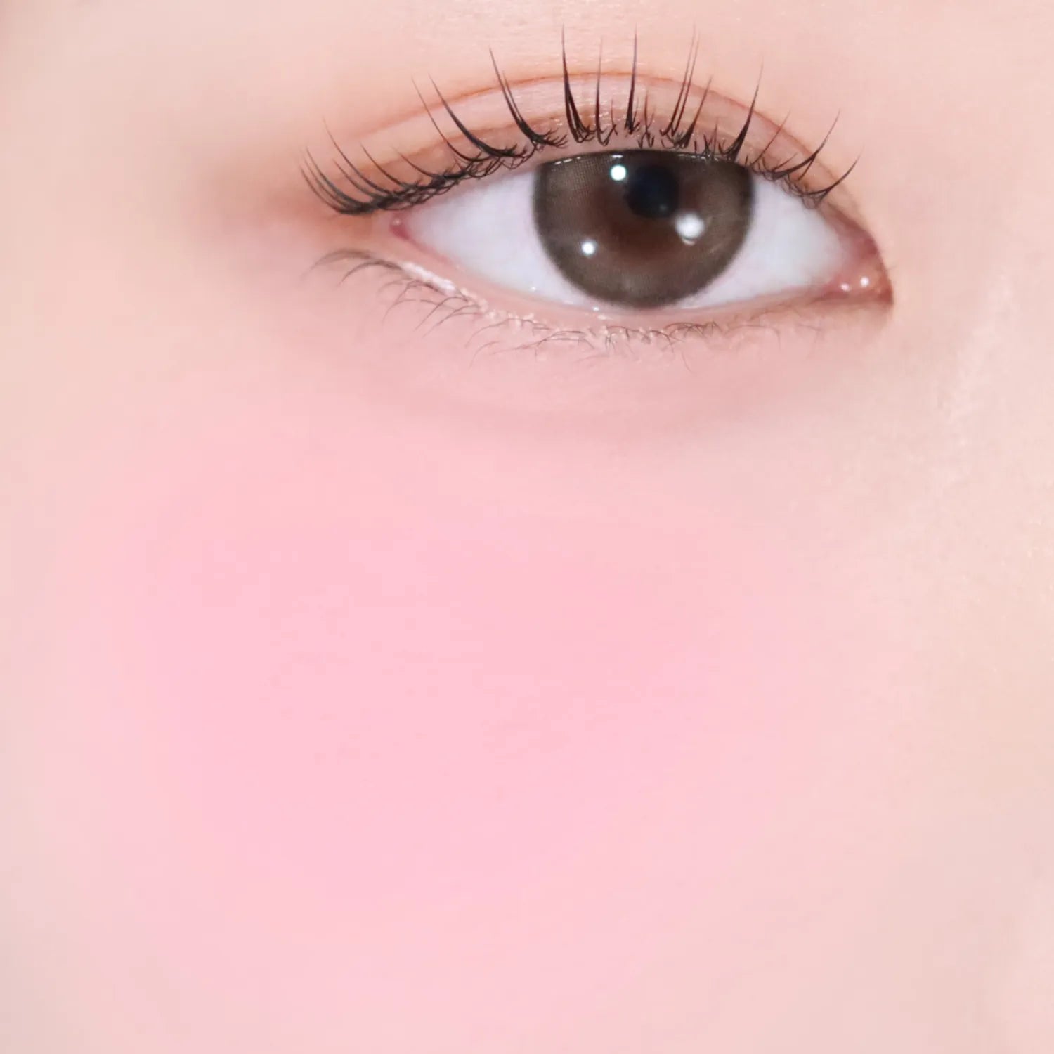 VDL Cheekstain Blusher (Set/Single) (17 Colors)