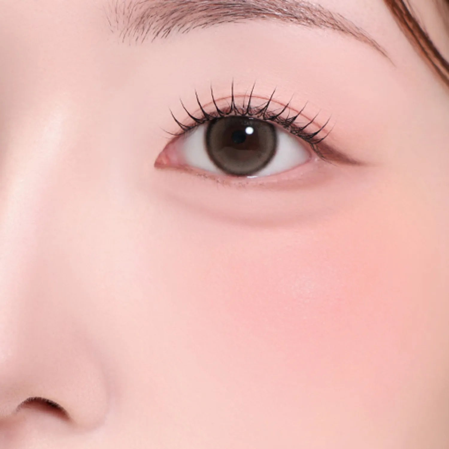 2aN Dual Cheek (Set/Single) (19 Colors)