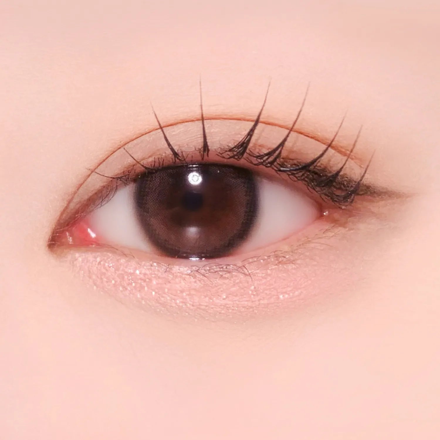 AMUSE Everlasting Eye Pencil (6 Colors)