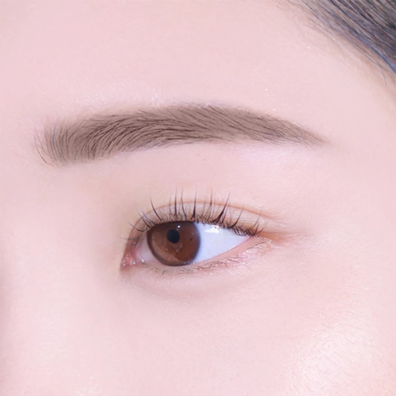 espoir The Brow Easy Shaping Pencil (5 Colors)