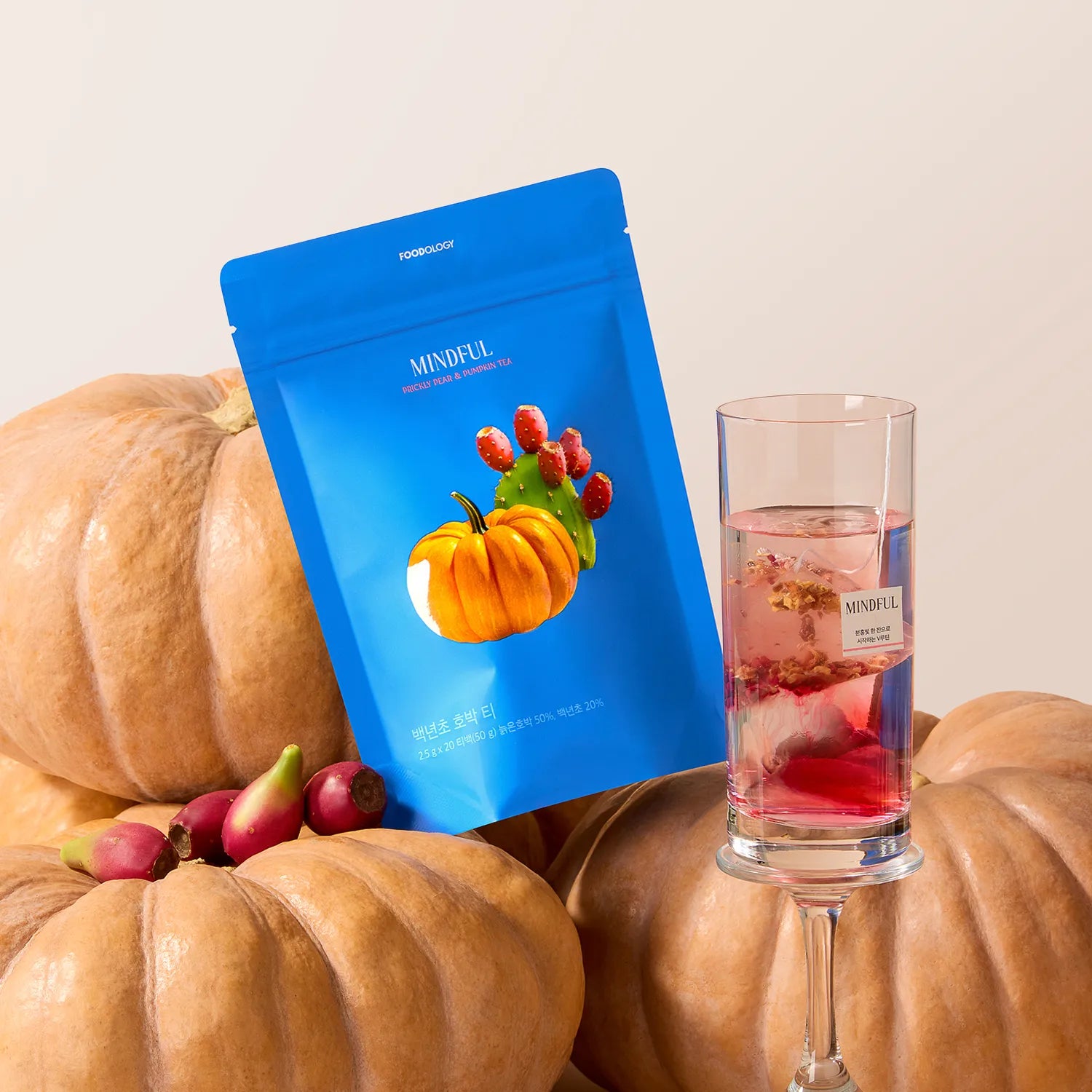 FOODOLOGY Prickly Pear & Pumpkin Tea 2.5g*20 Tea Bags