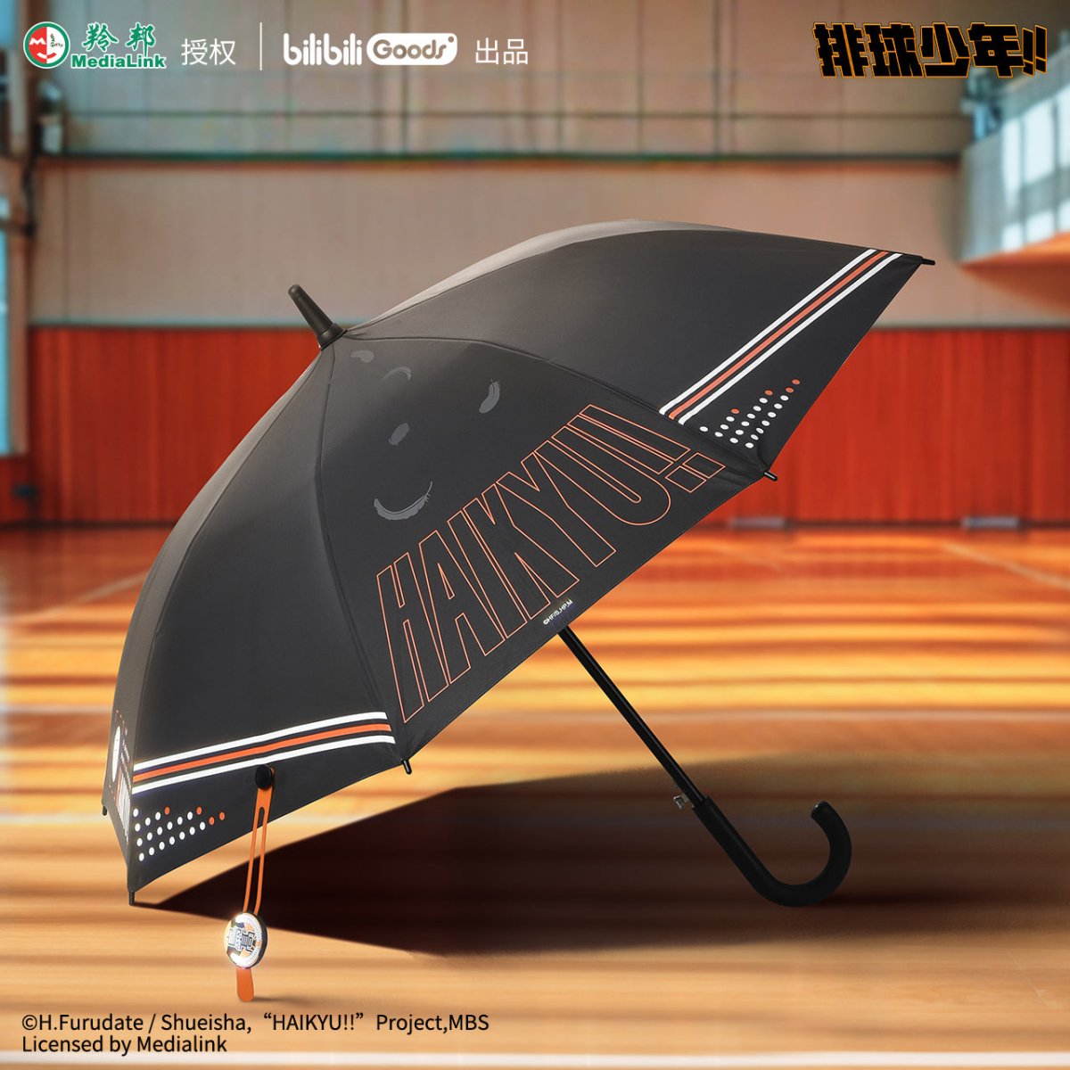Haikyu!! | Plush Doll & Umbrella & Bag & Plush Badge Bilibili Anime Goods - FUNIMECITY