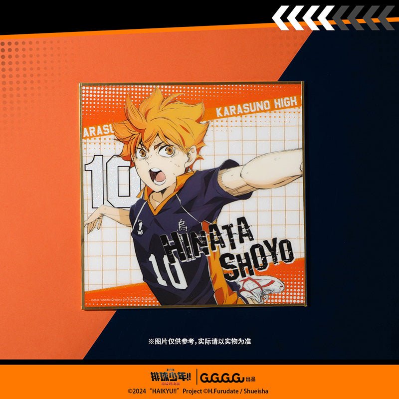 Haikyu!! | The Dumpster Battle Series Set 1