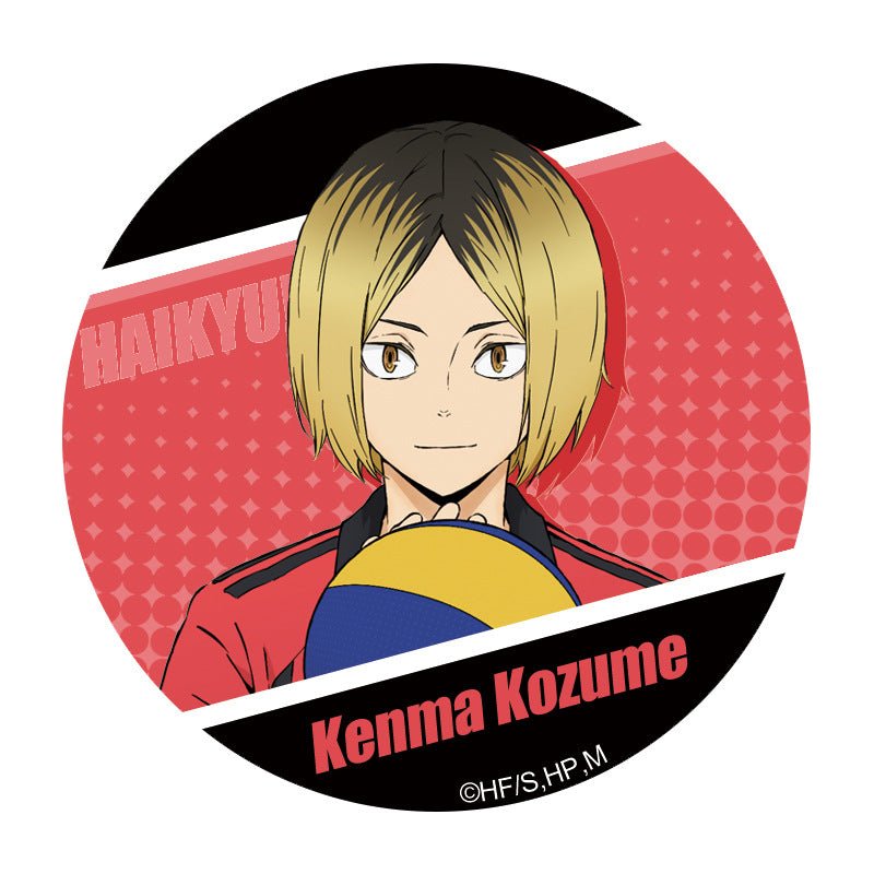 Haikyu!! | Tinplate Badge Set