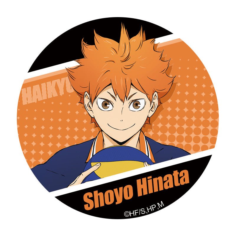 Haikyu!! | Tinplate Badge Set
