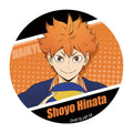Haikyu!! | Tinplate Badge Set