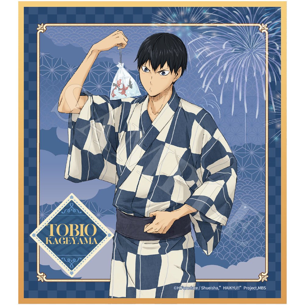 Haikyu!! | Yu Yi Series Shikishi Board Set