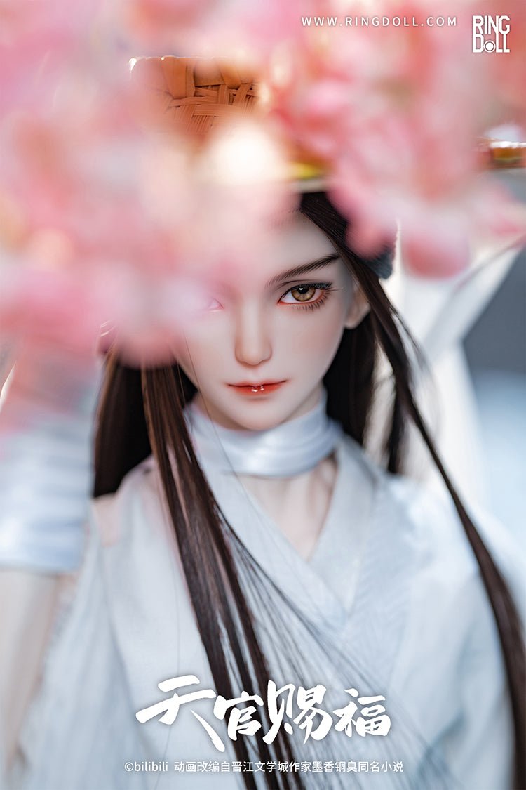Heaven Official's Blessing | Ringdoll Xie Lian BJD Doll