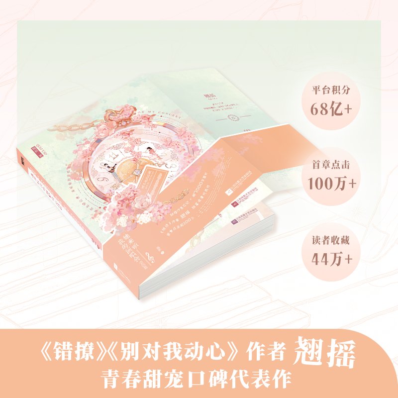 She Came To My Concert | Vol.1 (Novel)