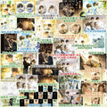 The Only One | Vol.1 & Vol.2 (Novel) Jing Se- FUNIMECITY
