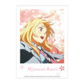 Your Lie in April | Polaroid Set XINGHEDONGMAN Art Card - FUNIMECITY